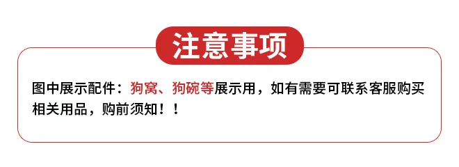 Petit chien Teddy FN...