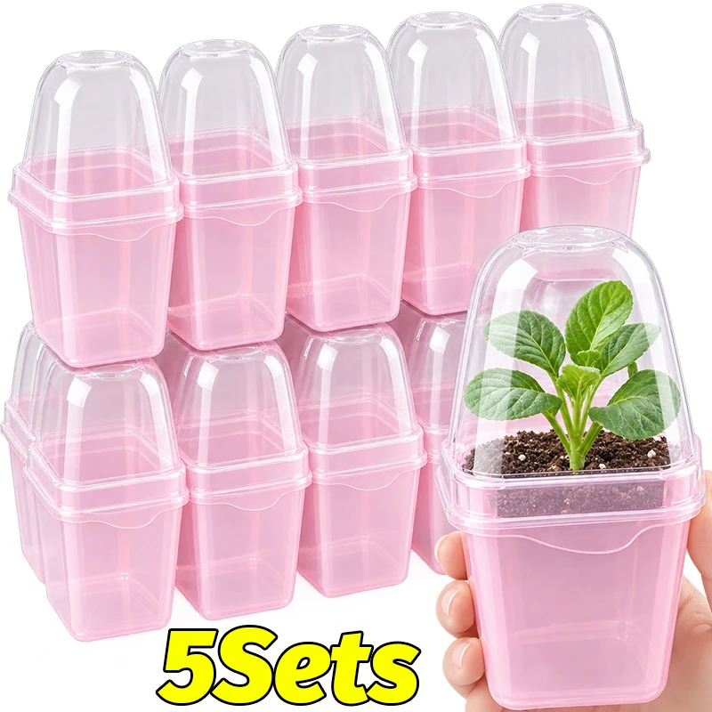 Self-Watering Planter - Pots d'arrosage automatique roses transparents, pots