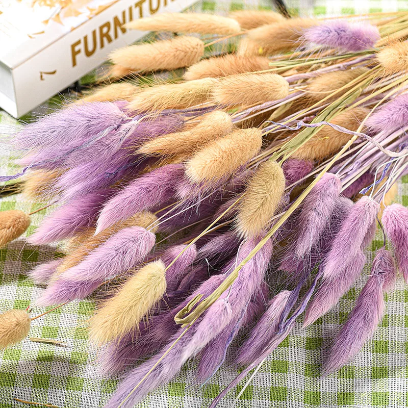 

Natural Dried Rabbit Tail Flower Branch, Little Pampas Grass Decor, DIY Wedding Flores Bouquet, Christmas Home Decoration, 50Pcs