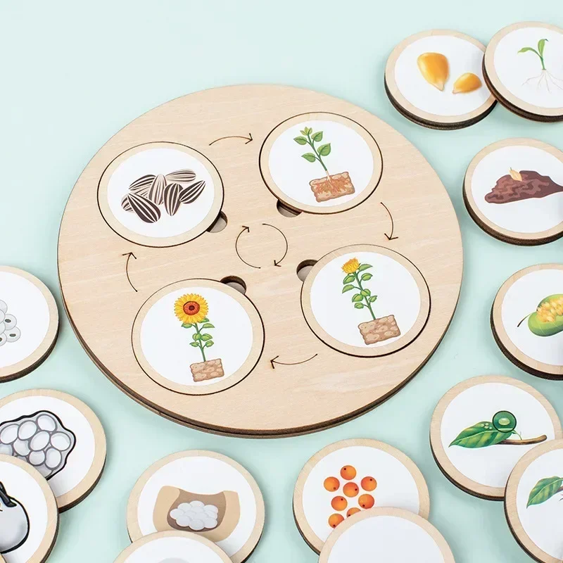 Animal Life Cycle Board Children Toys Montessori Teaching Aids Plant Animal Growth Cycle Model Set preschool cognitive Toys