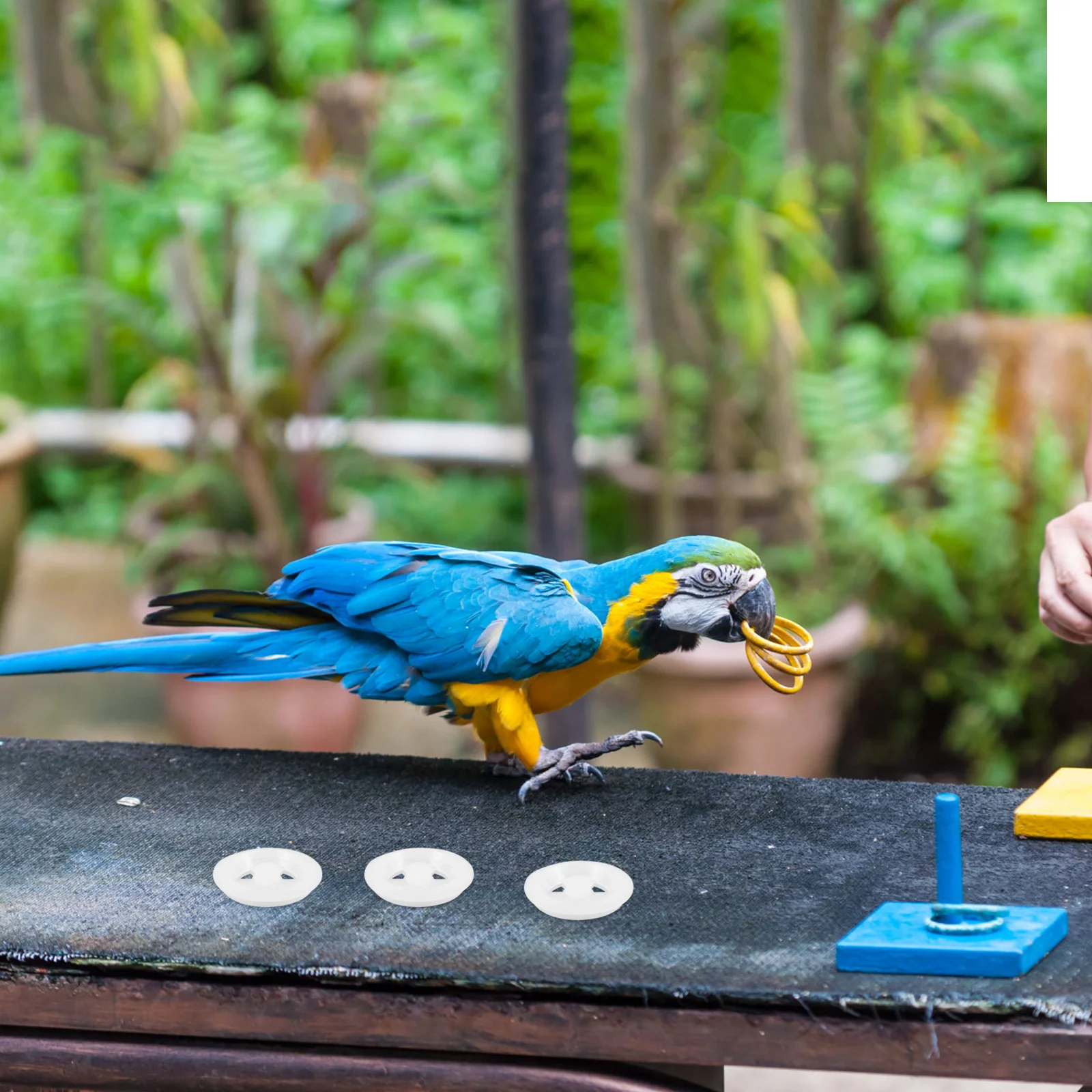 5 قطعة حاضنة الطيور فتحة تهوية قابل للتعديل التحكم في تدفق الهواء لتنظيم درجة الحرارة الببغاء صندوق التعشيش الملحقات #6