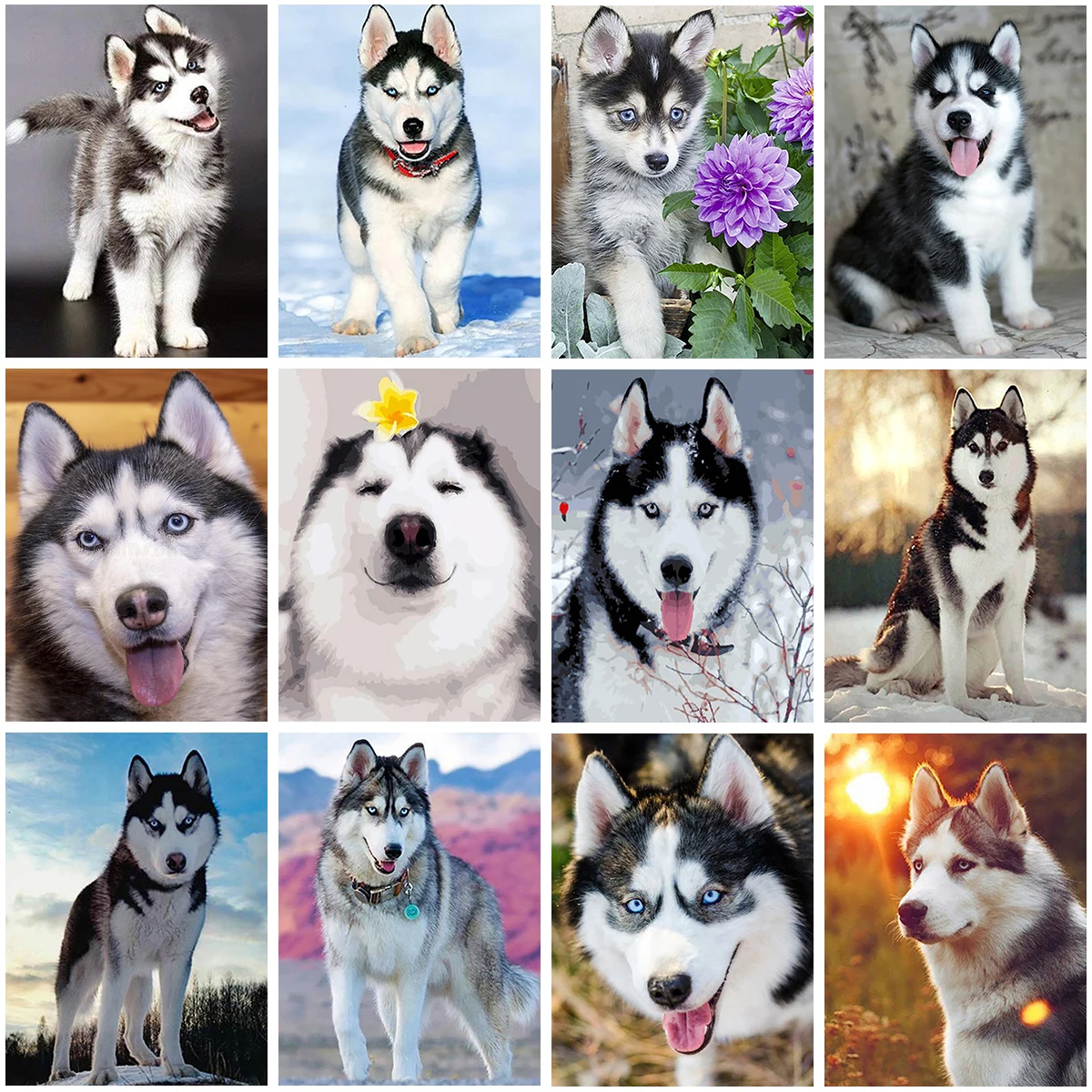 5D DIY Diamond Painting Animals Husky Dog Embroidery Mosaic Pictures Full Drill Cross Stitch Kit Living Room Decor New Year Gift