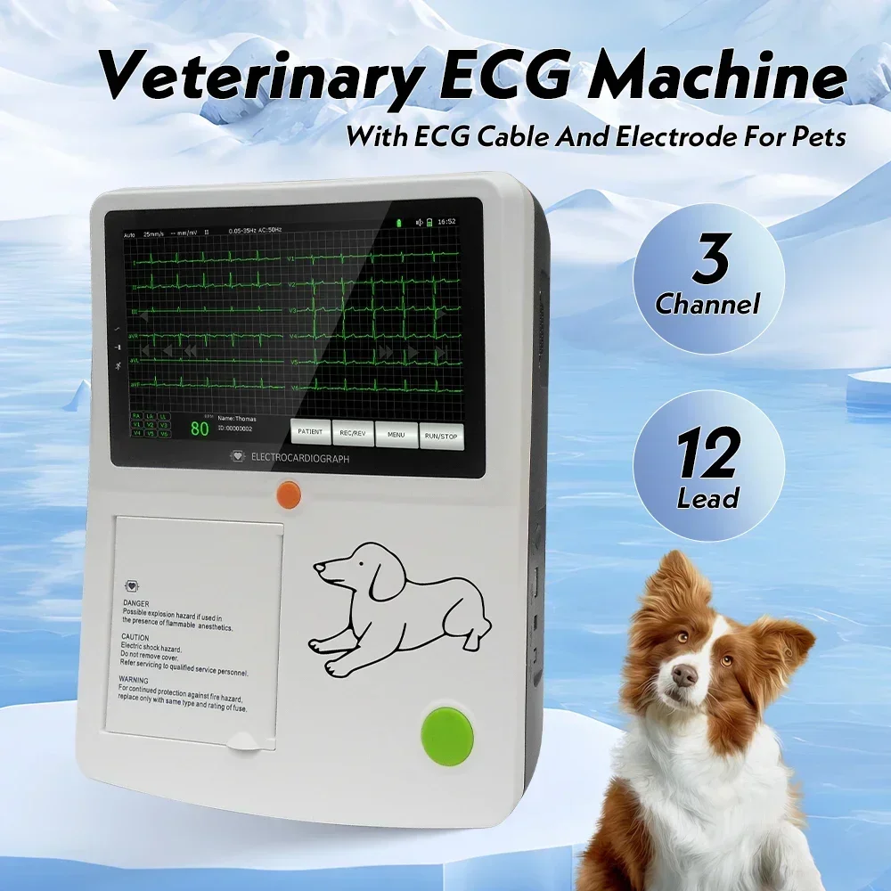 

7"Touch Screen Veterinary ECG Machine 3 Channel 12 Lead Vet Electrocardiograph For Pets with Thermal printer