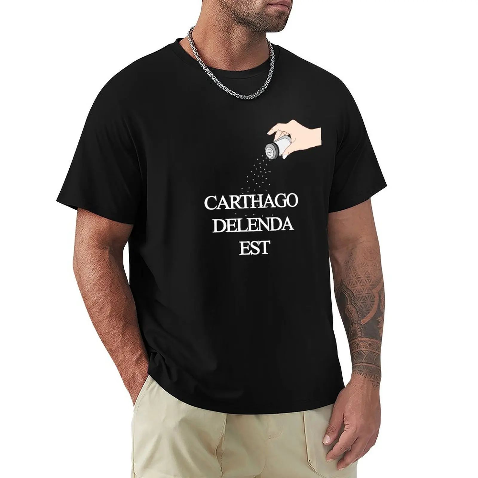Carthago Delenda Est T-Shirt Anti-Pilling Casual T-Shirt