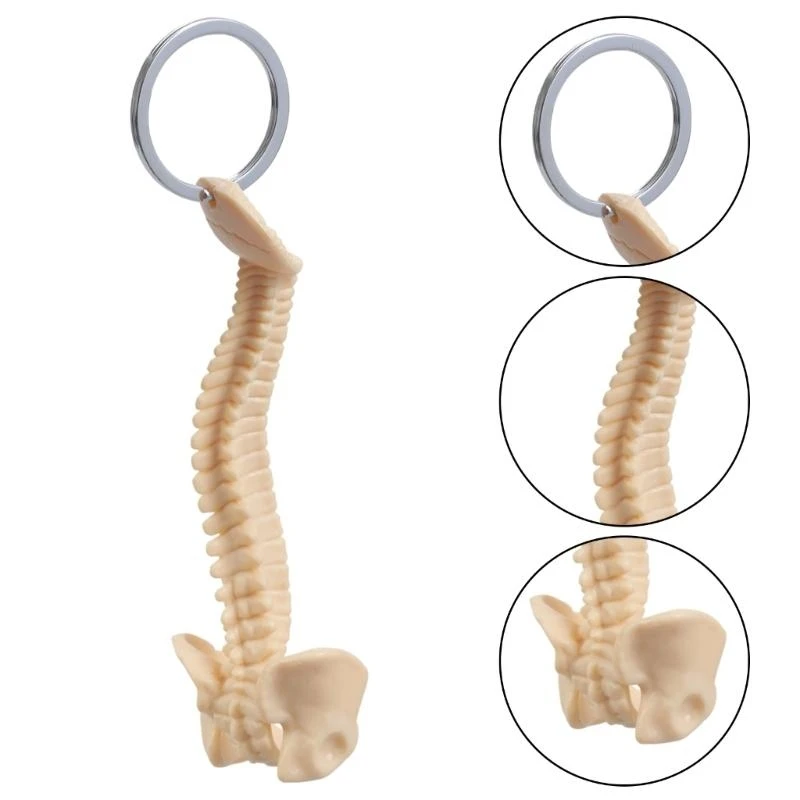 Handcrafted Human Vertebrae Model Keychain Educational Tool Spine Accessory