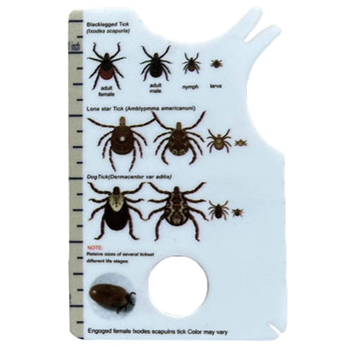 Tick Card With Magnifying Glass Allows Easy Removal Of Ticks Tick Remover For Dogs And Cats With Handy Pocket Size 8.5x5.4x0.1cm