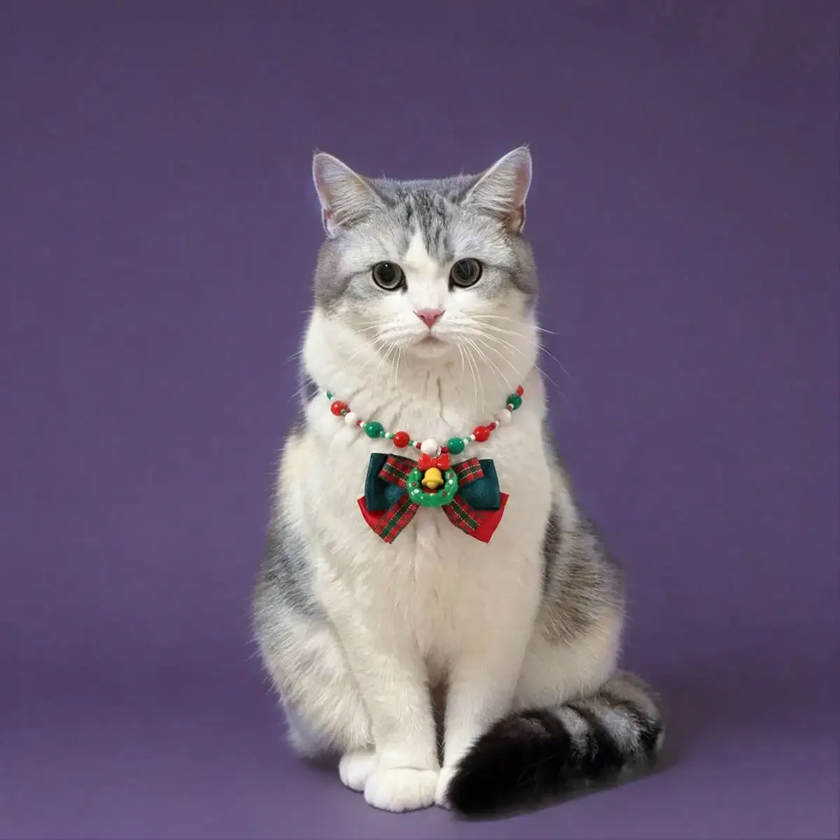 Christmas Winter Pet Collar Set, Festive Beaded & Chain‑Style Pet Necklaces With Plaid Velvet Bow, Wreath Reindeer Sock Charms, Adjustable Holiday Costume Accessories For Cats Small Dogs, Xmas Party Matching Outfit For Pet Photo‑Shoot