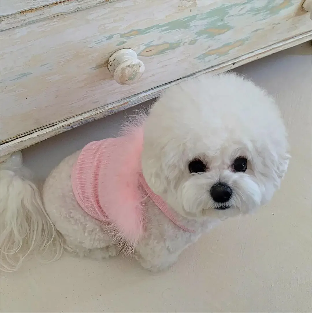 INS Pets Summer Dog Feather Strap Tank Top Solid Teddy Pomeranian Bears Clothing Pets Cute Strap Tank Top Puppy Clothes