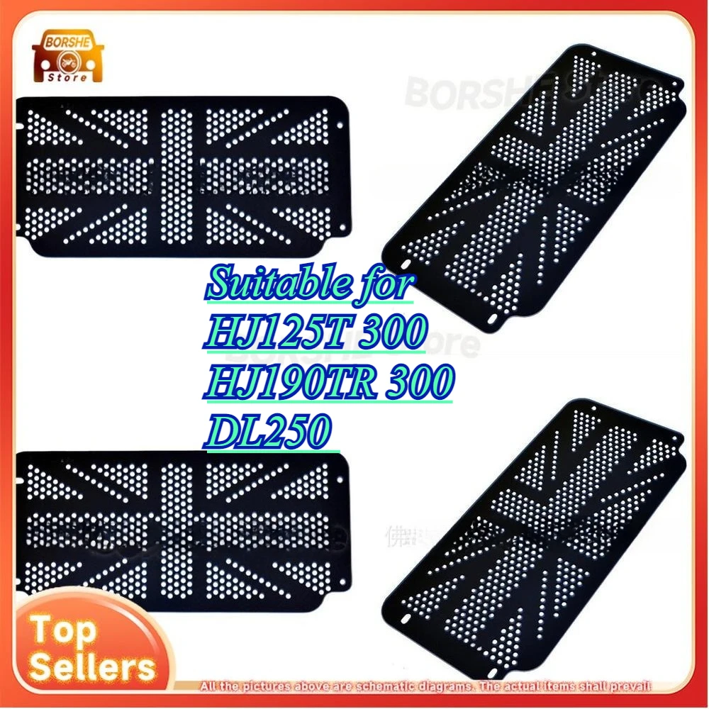 

Suitable for HJ125T 300 HJ190TR 300 DL250 Motorcycle Radiator Guard Mesh Cover Stone Protection Shield Accessory