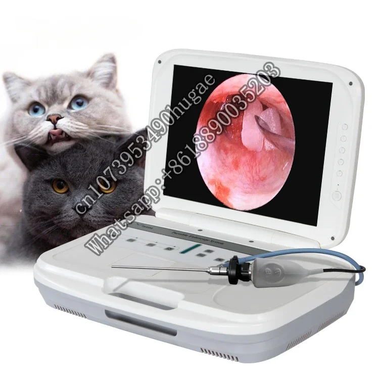 Veterinary Arthroscopic and Laparoscopic Surgery System