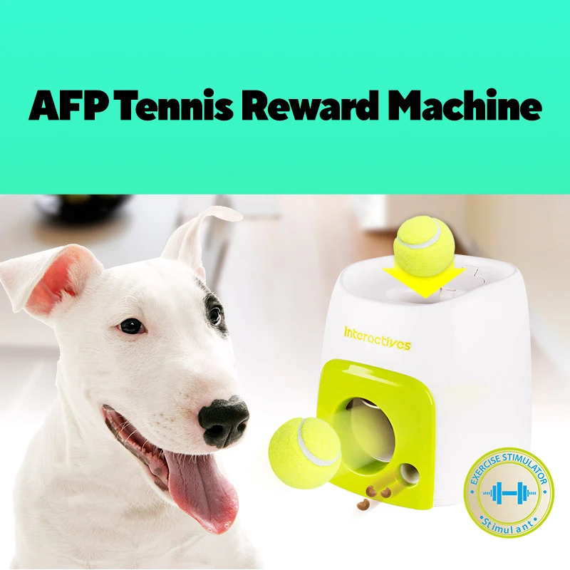 Interactive Ball Ro…