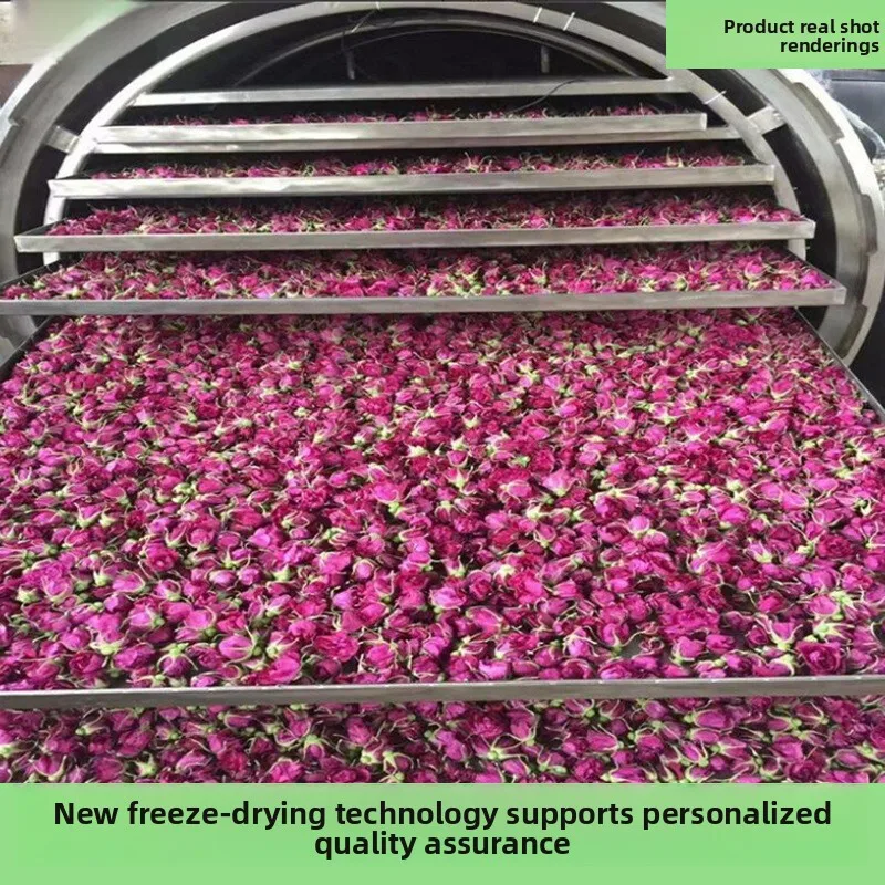 آلة المأكولات البحرية شرائط الأعشاب البحرية الروبيان المجفف درجة حرارة منخفضة تجميد تجفيف معدات تجفيف الطعام الفورية #4