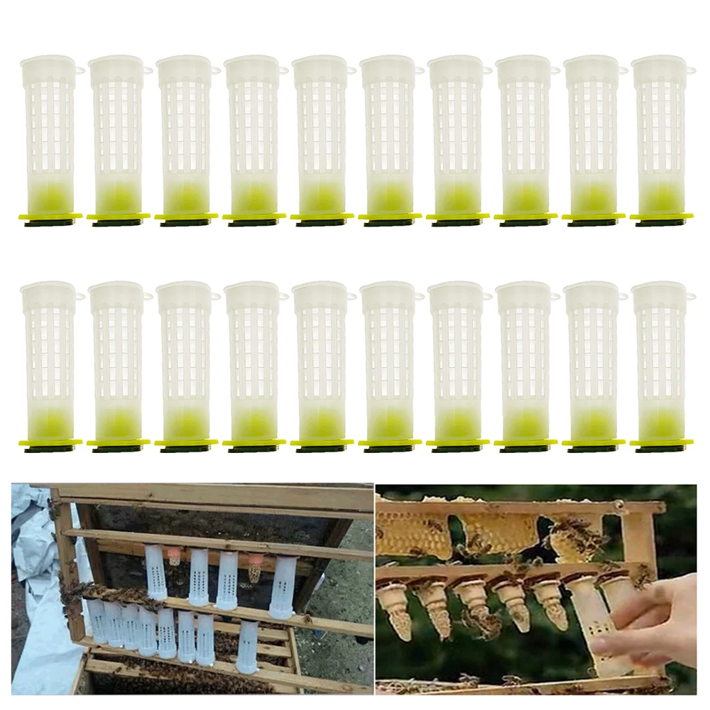 180PCS Queen Protection Sealed Unhatched Cell Cup Cages Durable Hair Roller Cage Plastic Nicot Rearing Breeding Tools Supplies