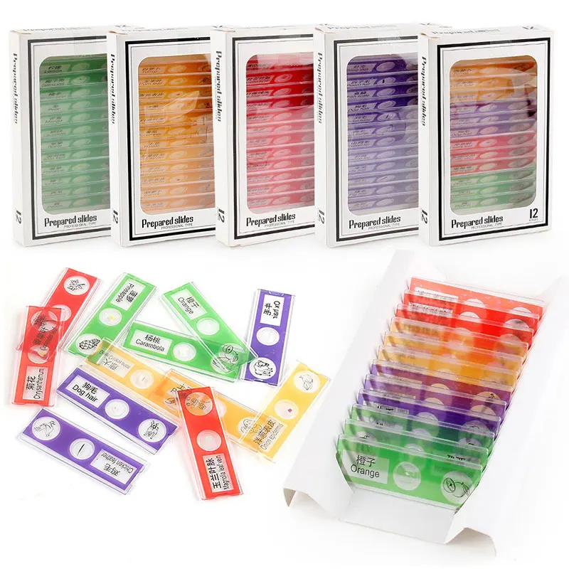 Microscopio de ciencia biológica para niños, juguetes parroquiales, tobogán de plástico, planta Animal, espécimen de frutas y verduras, material didáctico