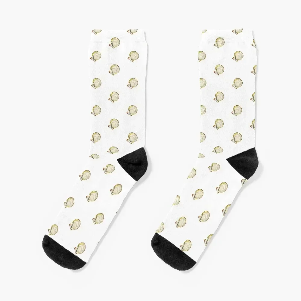 

Scallops | Vintage Shell Socks new year anime kids new in's Socks For Girls Men's