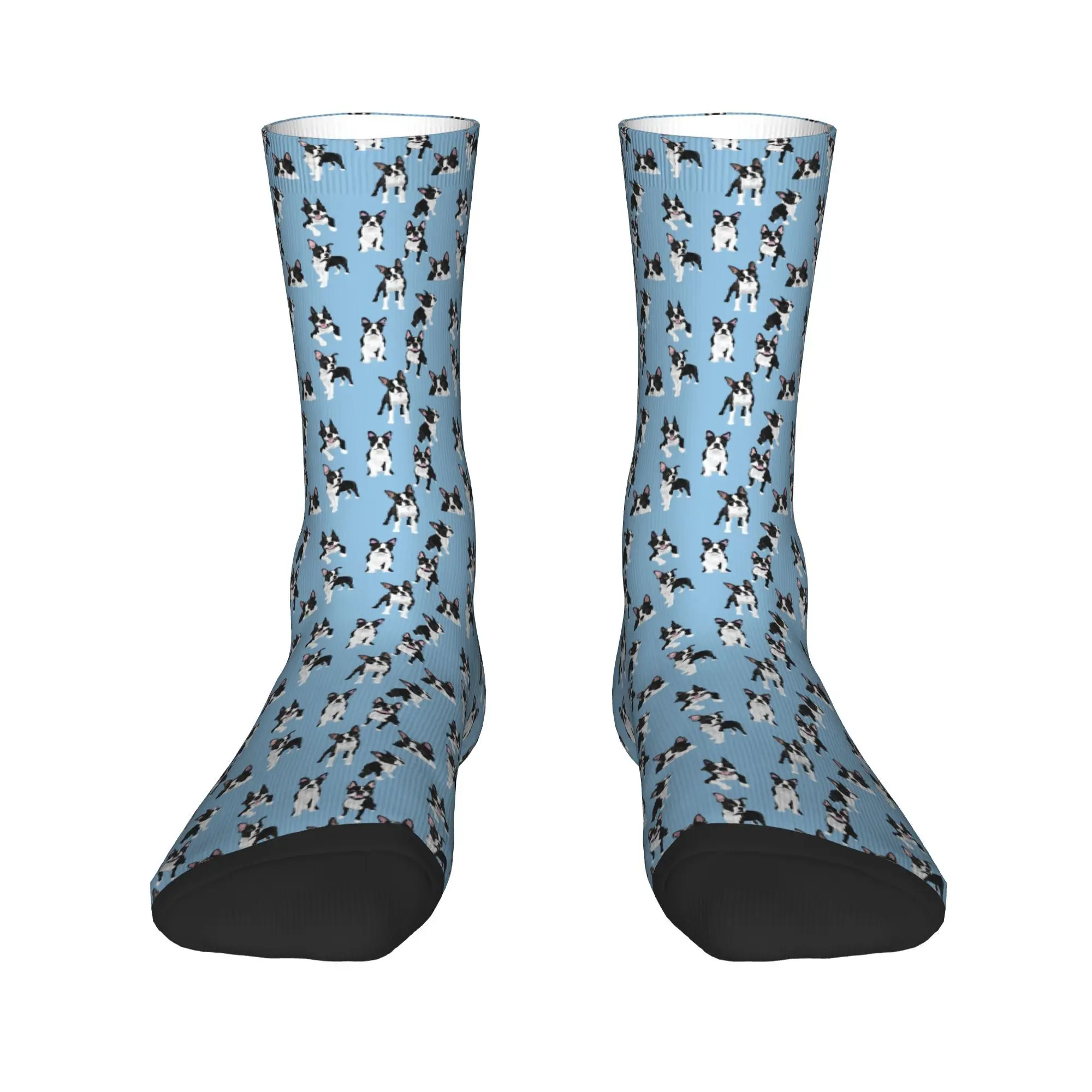 Boston Terrier Calzini per cani carini Harajuku Calze assorbenti per il sudore Calzini lunghi per tutte le stagioni Accessori per regali unisex