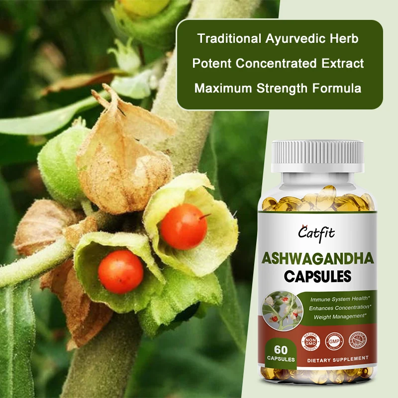 Catfit Nature Ashwagandha Capsule Help Sleep Relieve anxiety Reduce Pressure Endurance Hormones Endocrine Regulation for woman