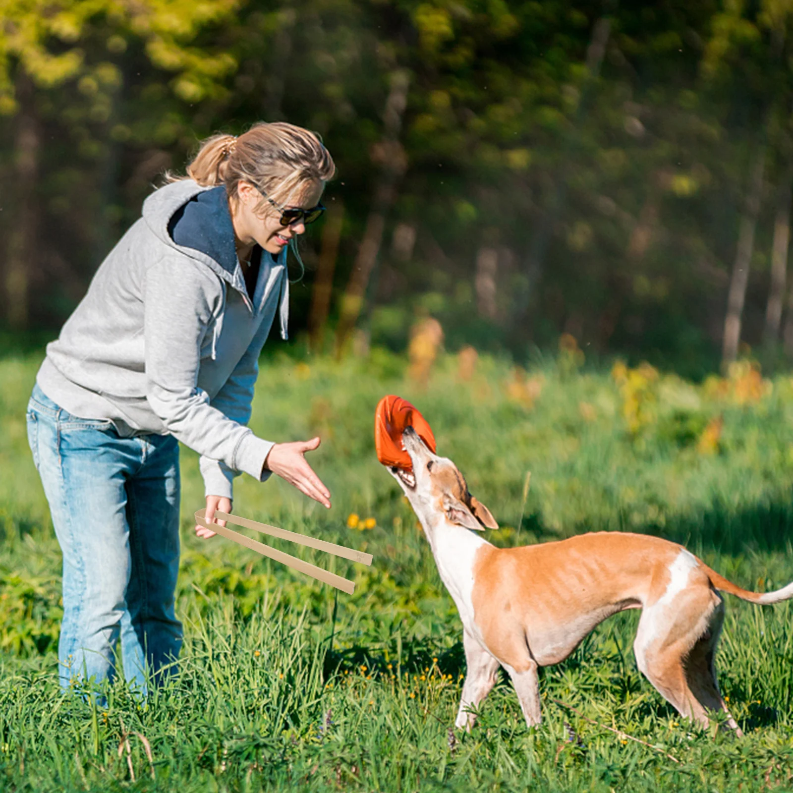 

2pcs Pet Pooper Scooper Long Handle Wood Color Feces Picker For Dog Cat Outdoor Waste Cleaning Pet Supplies