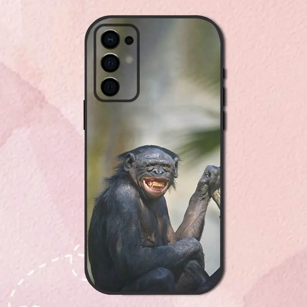 Monkey Gorilla Orangutan Funny Phone Case For Samsung S24,S21,S22,S23,S30,Ultra,S20,Plus,Fe,Lite,Note,10,9,5G Black Soft Shell