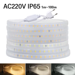 Tira de luces LED para iluminación de jardín, cinta de luz impermeable de CA 220V, 2835 LEDs/M, 120 K, 3000K, 4000K con enchufe europeo para cocina y exterior