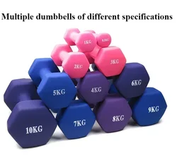 Household Dumbbells Fitness Cast Iron Arm Muscle Training Gym Equipment Coated Hexagon Workout Dumbbell Hand Weight