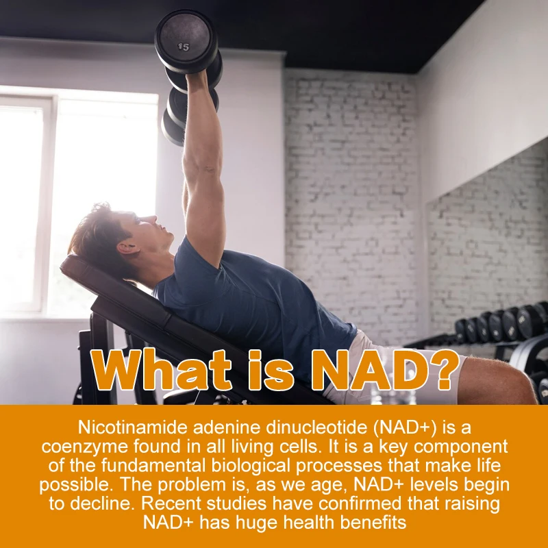 Suplemen NAD-penguat sel anti-penuaan, mendukung energi alami