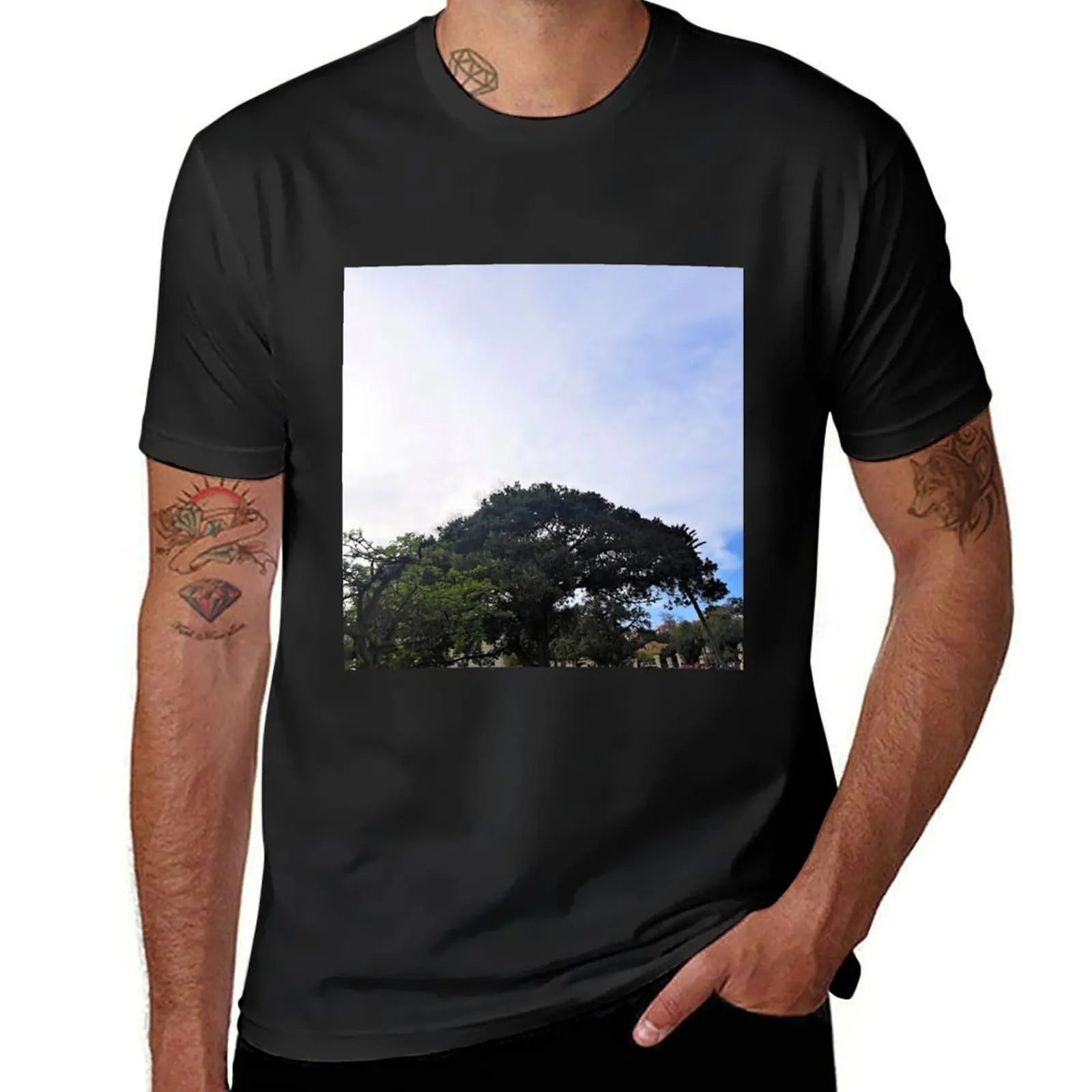 

tree and blue sky in the garden T-Shirt cute tops for a boy Short sleeve tee tshirts for men