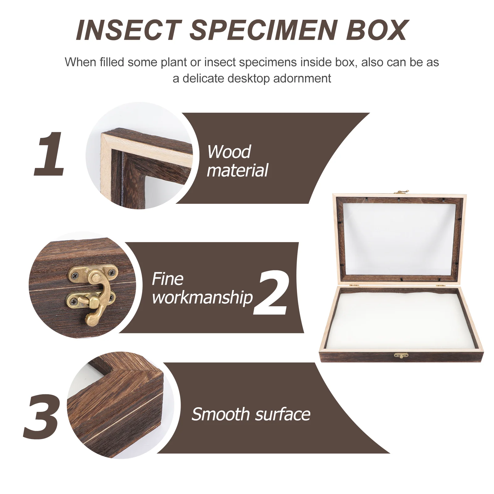 Display Case Box Specimen Insect Frame Shadowwooden Wood Collection Picture Photoexhibit Moth Beetle Bug Frames Medalclaspflower