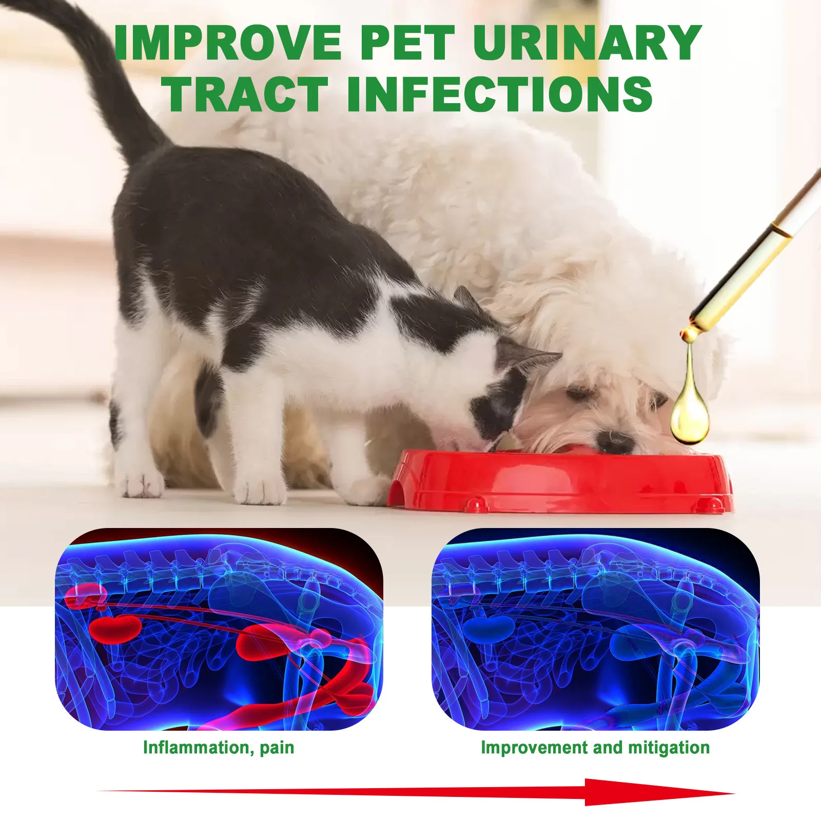 Yegbong Pet Care Drops, Relieve Physical Discomfort and Pain for Cats and Dogs Pet General Care Liquid