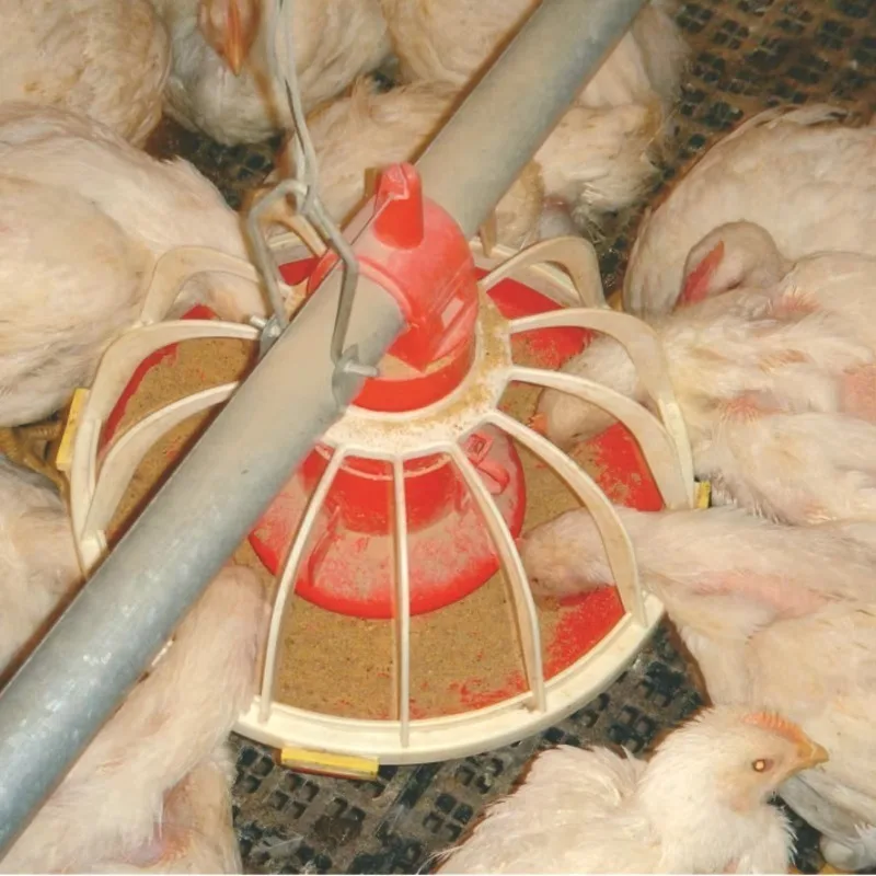 Customizable Poultry Farming Chicken Feeder Equipment Complete Automatic Broiler Feeding and Drinking Line Machinery