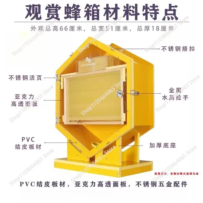 indoor beekeeping equipment Hexagonal wall mounted beehive breeding ornamental box