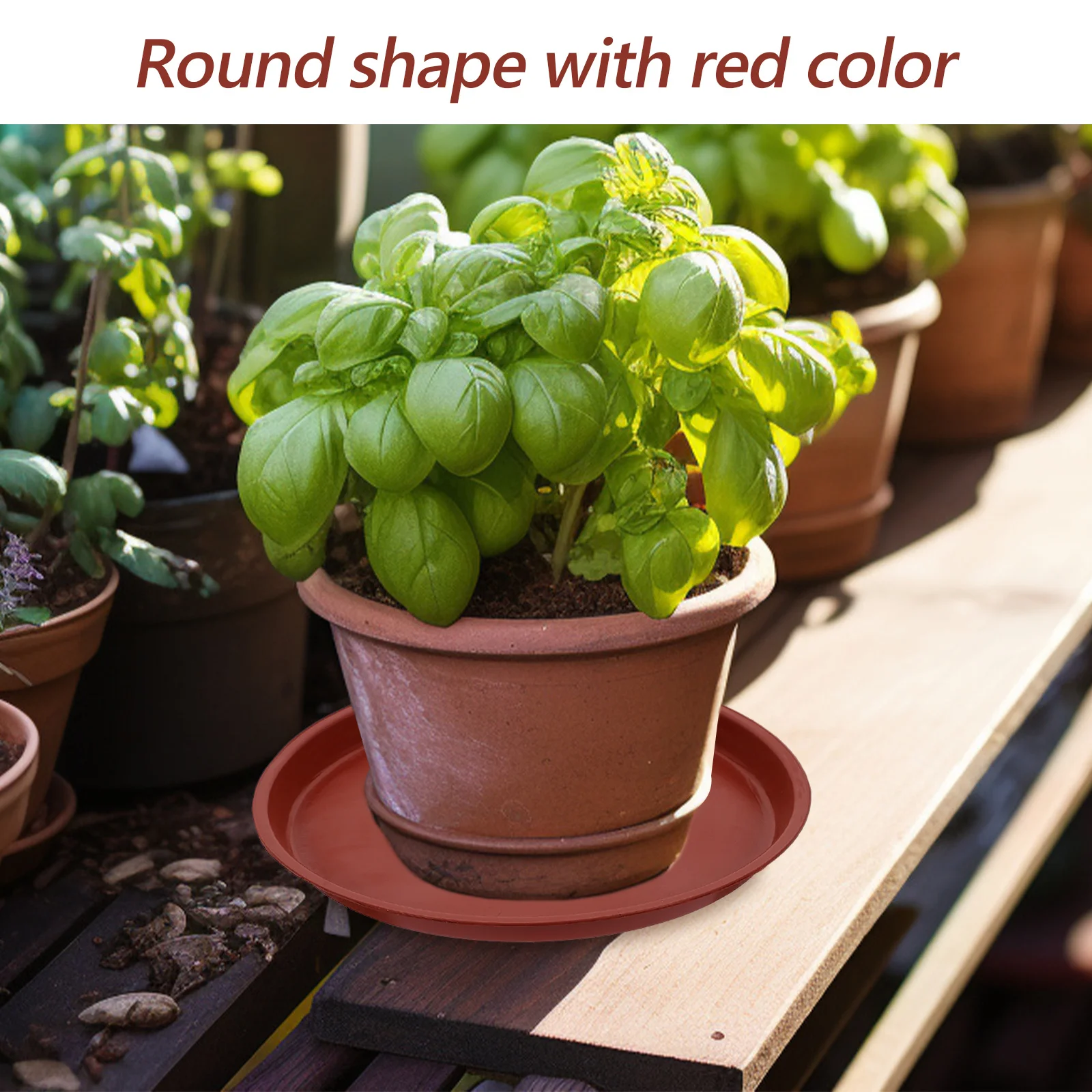 

20pcs Plastic Flower Pot Tray 200Mm Red Textured Bottom For Bonsai Succulents Garden Plant Saucer Drain Tray Garden Supplies