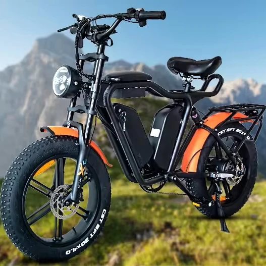 Full suspension off-road Ebike dual lithium battery fat tire electric bicycle electric motorcycle