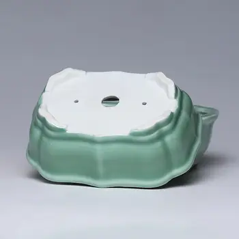 10 best sales עציץ בונסאי גדול - №8