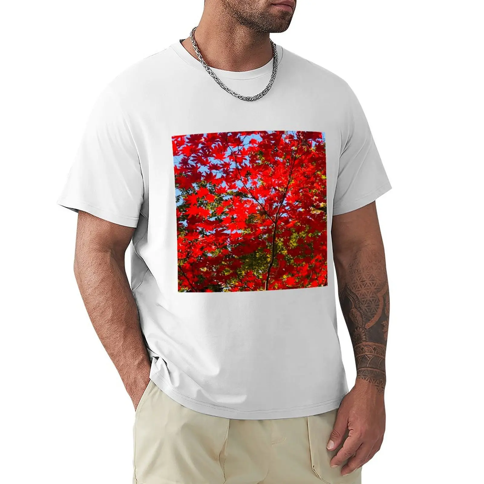 Canopy of Autumn Leaves T-Shirt Blouse graphics vintage boys whites mens graphic t-shirts pack