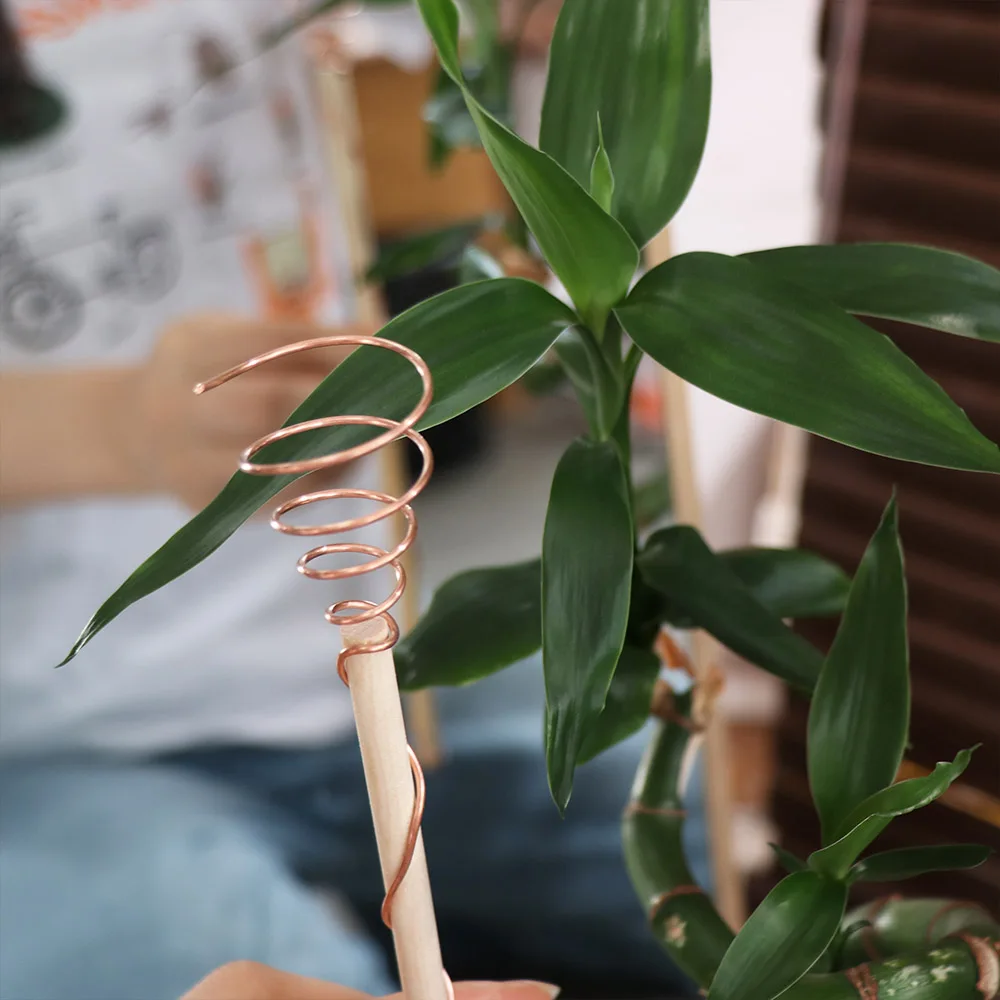 Copper Electroculture Plant Stakes Wire Coil Wood Rod Gardening Copper Coil Antennas Electroculture Vegetables Stake Garden