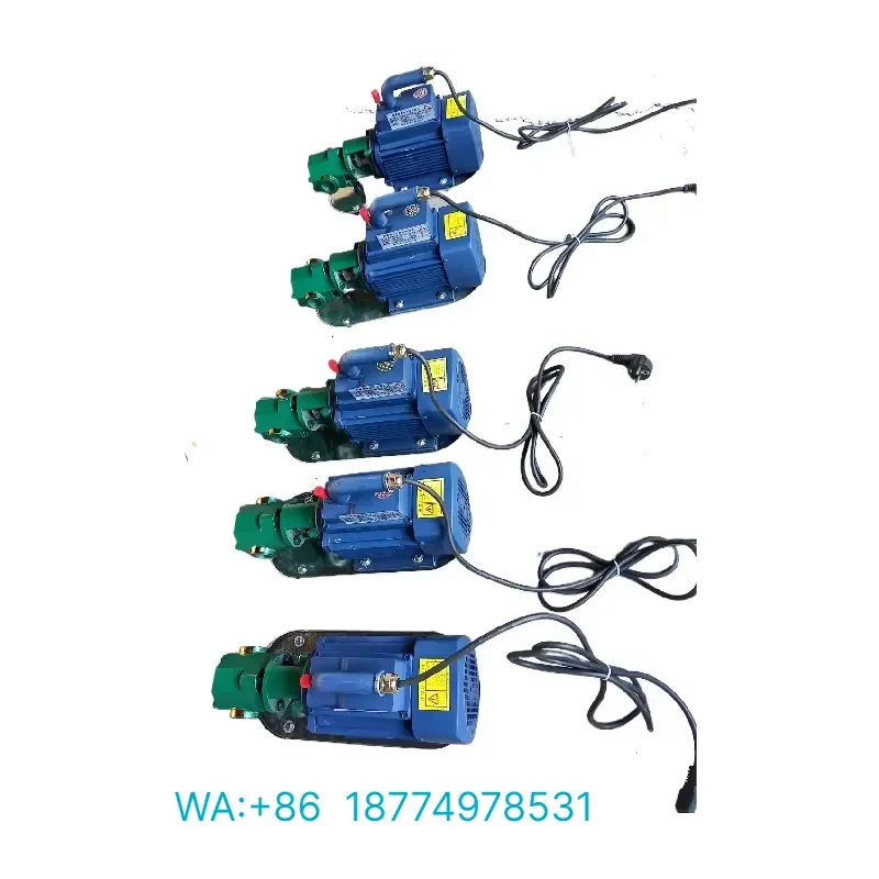 WCB-30-50-75-100 Light Stainless Steel Portable Fuel Oil Transfer Gear Pump
