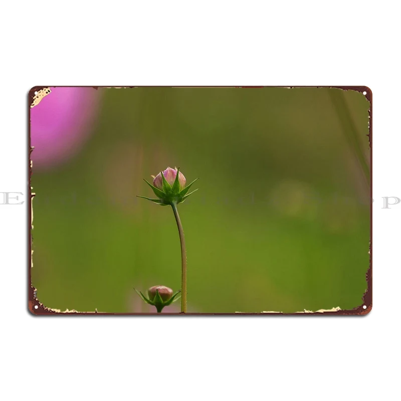 Cosmos Plant Bud Metal Plaque Garage Wall Decor Cave Classic Tin Sign Poster