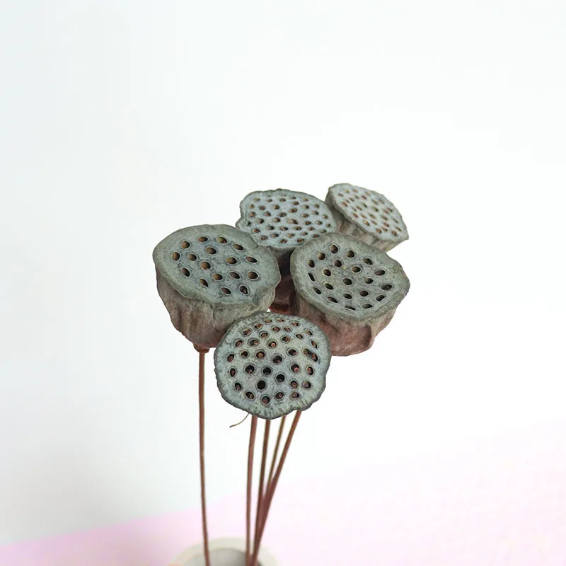 5PCS 5~8cm Head Natural Dried Lotus Seedpod with 45-65cm Artificial Wire Pole Farmhouse Flower Bouquet Home Decorations