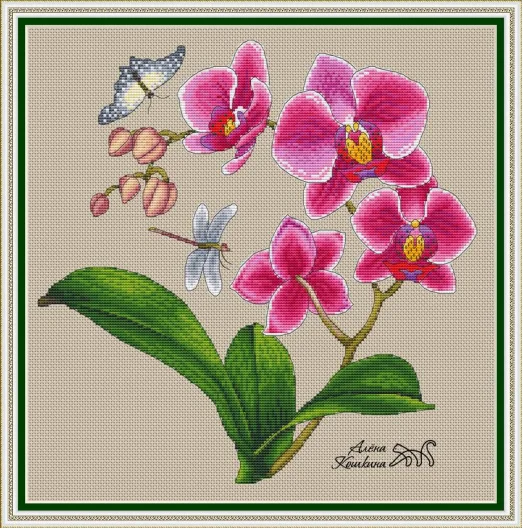 Quality Beautiful Counted Cross Stitch Kits Embroidered Home Decoration A Phalaenopsis orchid 40-40