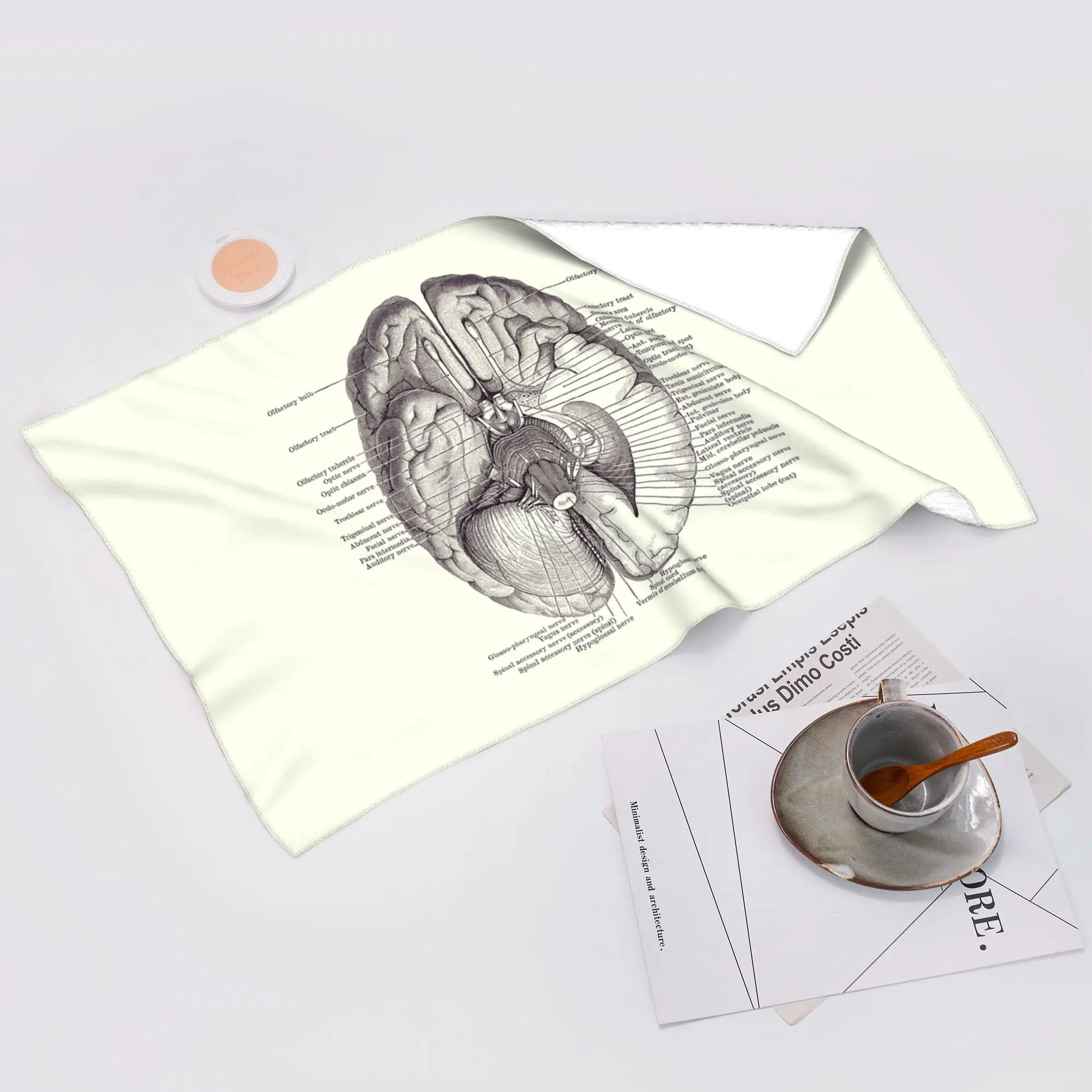 Custom Brain Nervous System Diagram - Vintage Anatomy Soft Face Towel Quick Dry Pool Bath Cotton Towels Breathable