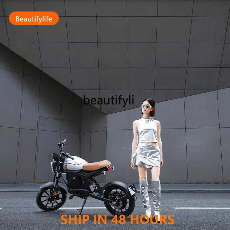 

FH Electric Bike Straddle Electric Bicycle No License Required Lithium Battery Electric Bike