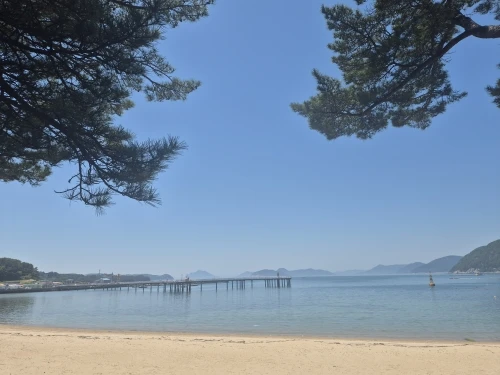 실물 포토 리뷰