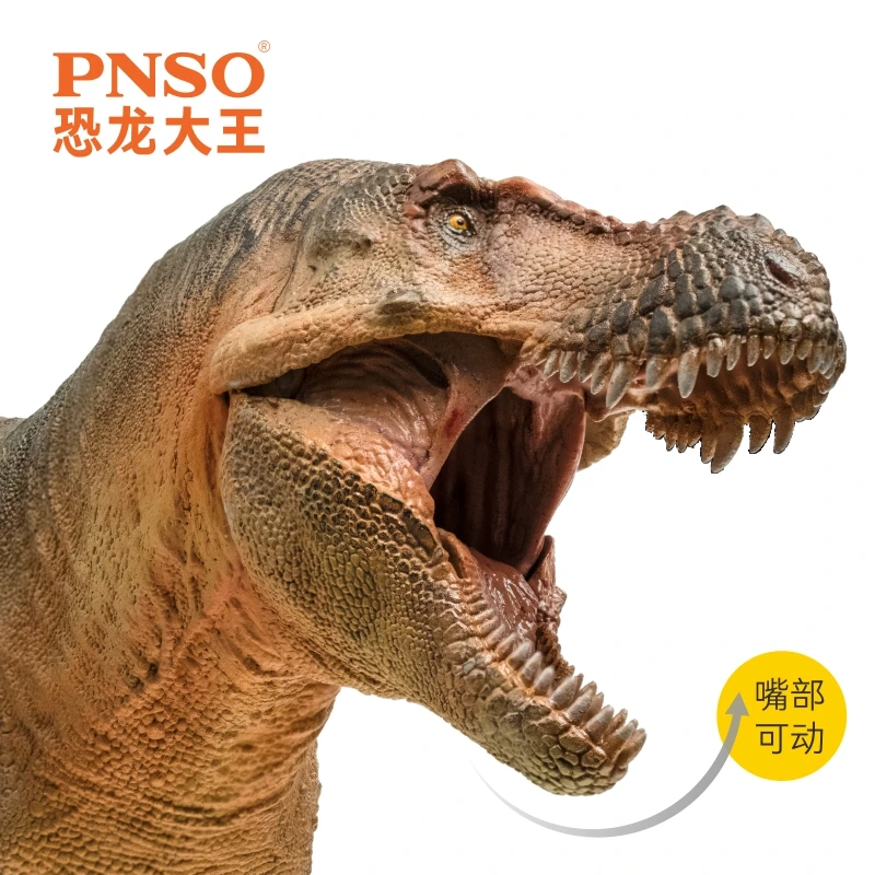 PNSO Zhucheng Тираннозавр Рекс Король динозавров Модель игрушки Фигурка Сопутствующий рост Коллекционная для детей и взрослых