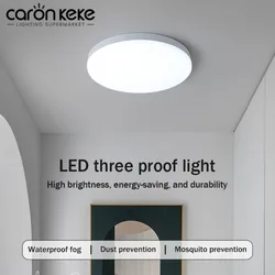 Modern LED Ceiling Light, Circular Ultra-thin Energy-saving Lamp, Bedroom and Living Room 48W 36W 24W 18W Indoor Home Light