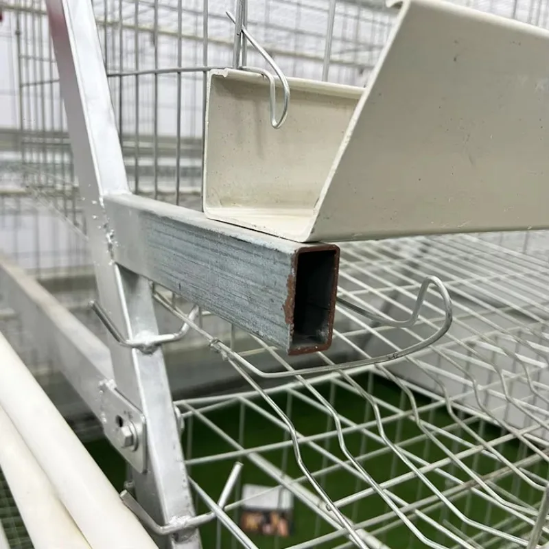 500 Allevamento di polli a deposizione automatica di galline/batteria a strati una gabbia per polli di tipo per l'allevamento di pollame