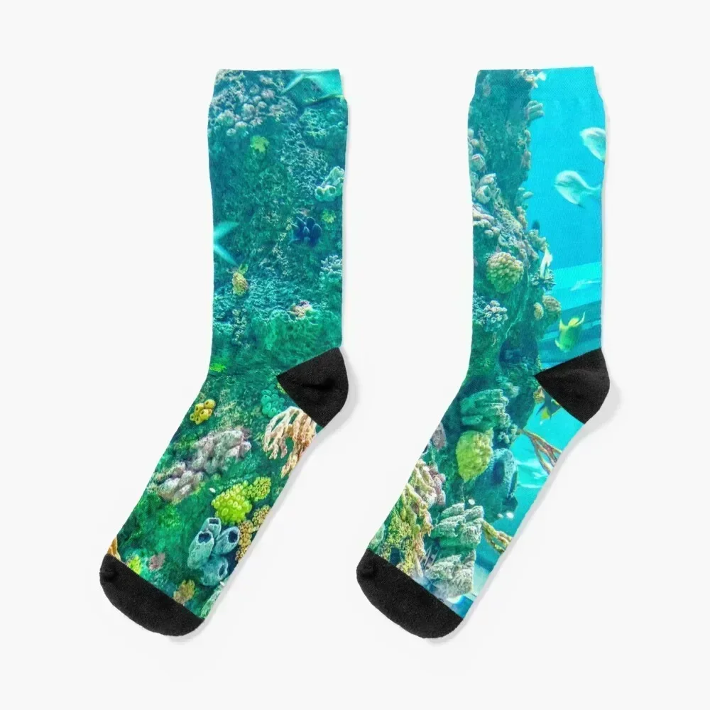 Aquarium, Reefs Socks Stockings man essential Run heated Male Socks Women's