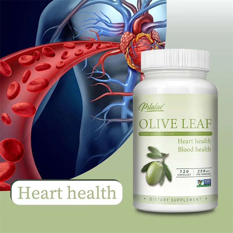 

Оливковый лист — подходит для вегетарианских, поддерживает иммунитет и антиоксидантов, поддержка сердца — 120 капсул