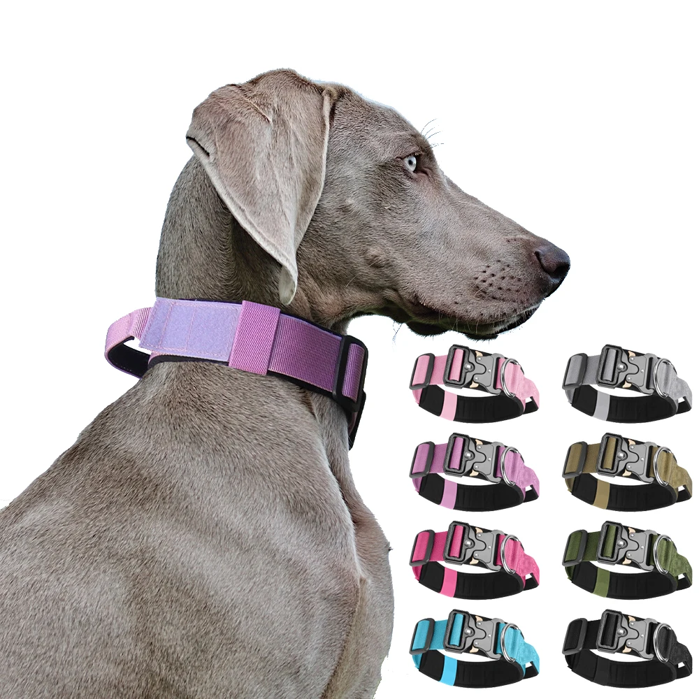 #59 Latest Dog Seat Belt Harness Offers