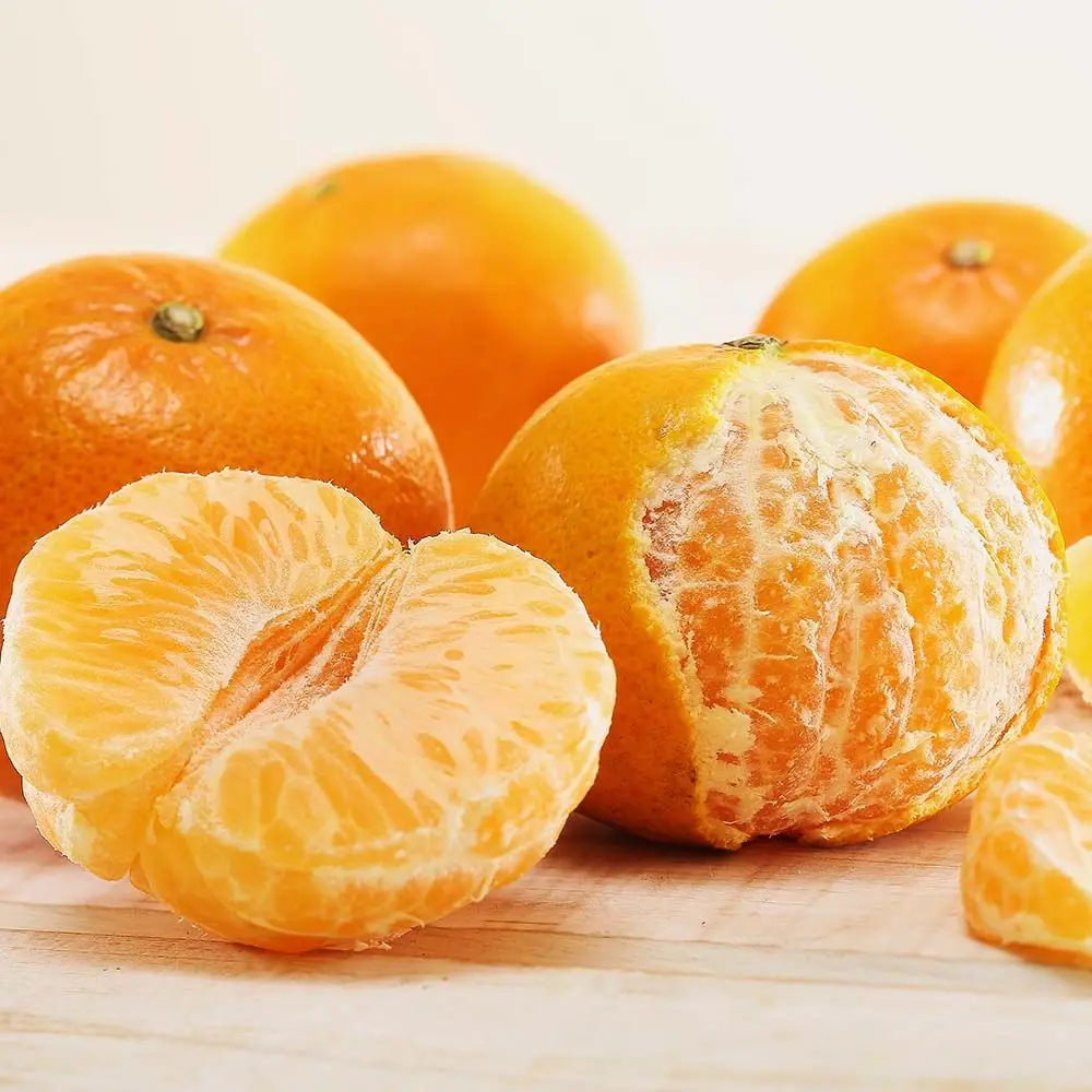 جيجو آيلاند اليوسفي المفتوح المولود الجديد، مقاس كبير، 9 كجم